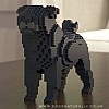 Pug Black - Jekca (Dog Lego)